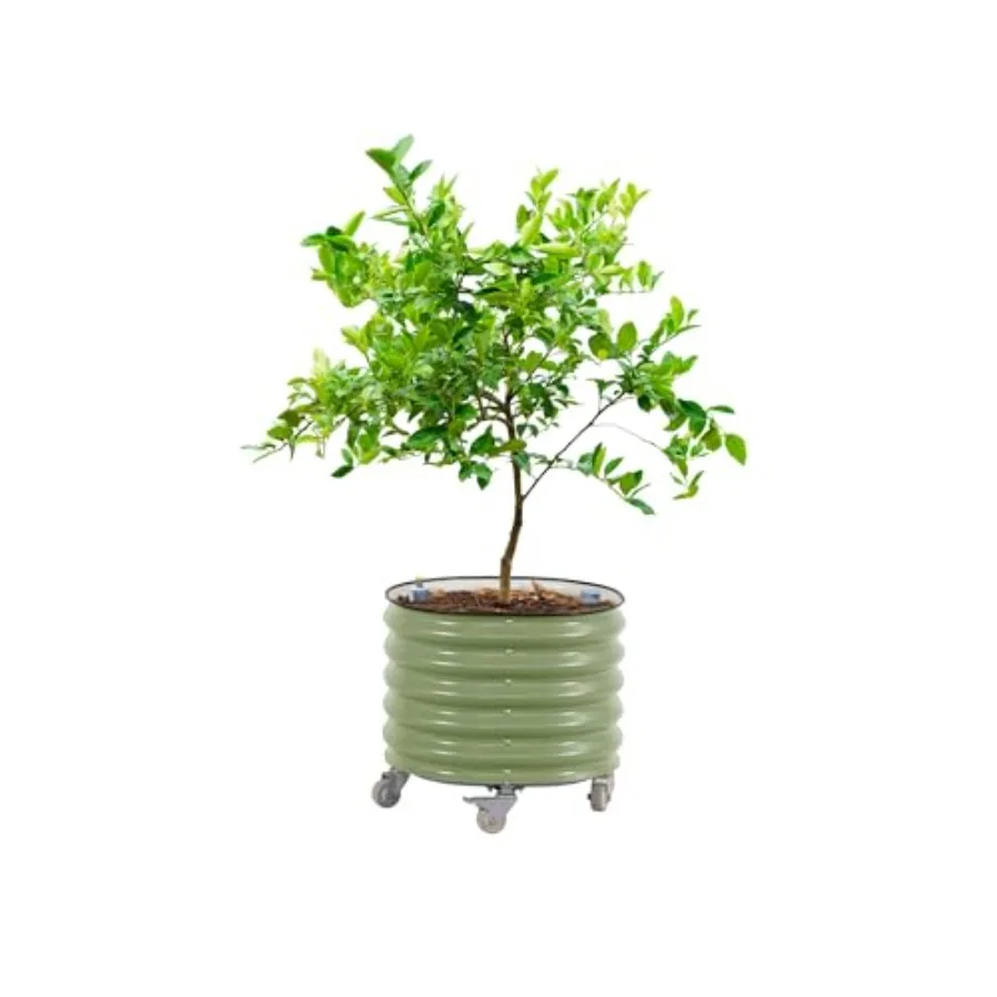 Self Watering Planter - กระถางปลูกต้นไม้ทรงกลมแบบมีระบบให้น้ำอัตโนมัติ รุ่นที่ 3 ขนาดกว้าง 24 นิ้ว