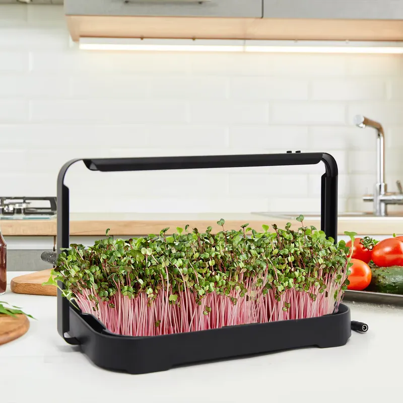 Smart Garden Kit - ถาดปลูกผักไฮโดรโพนิกสำหรับปลูกไมโครกรีนในร่ม ชุดปลูกเมล็ดไมโครกรีน ระบบปลูกผักอัจฉริยะ