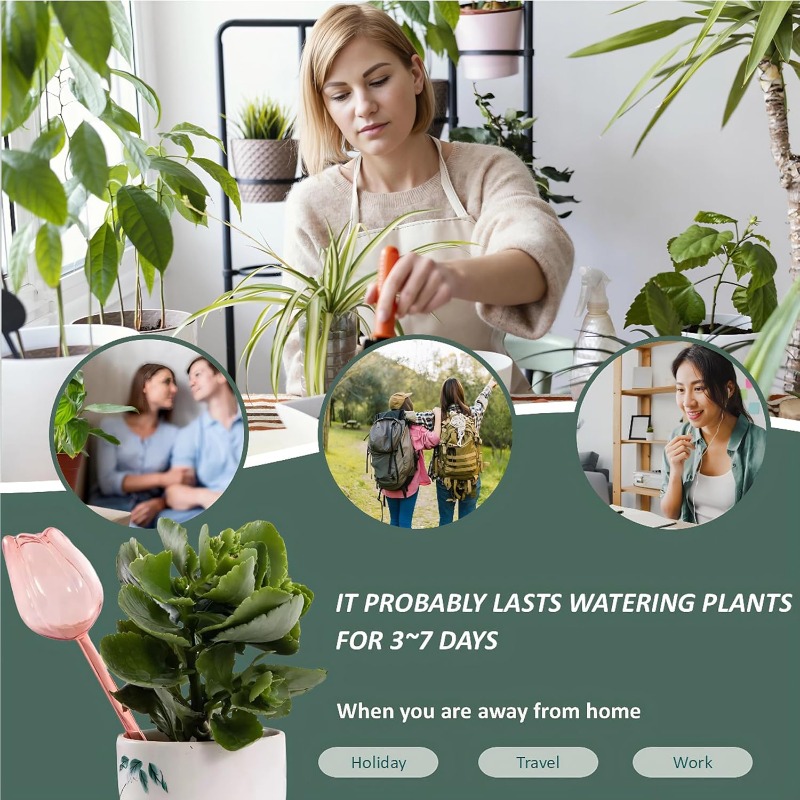 ลูกบอลรดน้ำต้นทิวลิปสีชมพู ลูก - Plant Sensor บทวิจารณ์และราคา