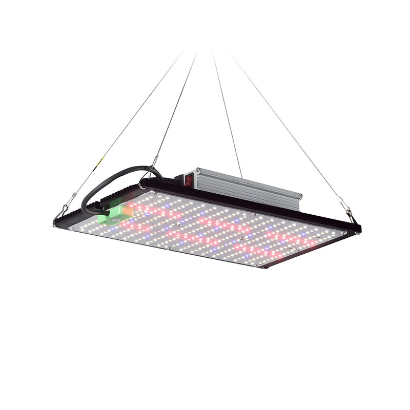 ไฟปลูกต้นไม้ LED แบบควอนตัมบอร - Grow Light Led บทวิจารณ์และราคา