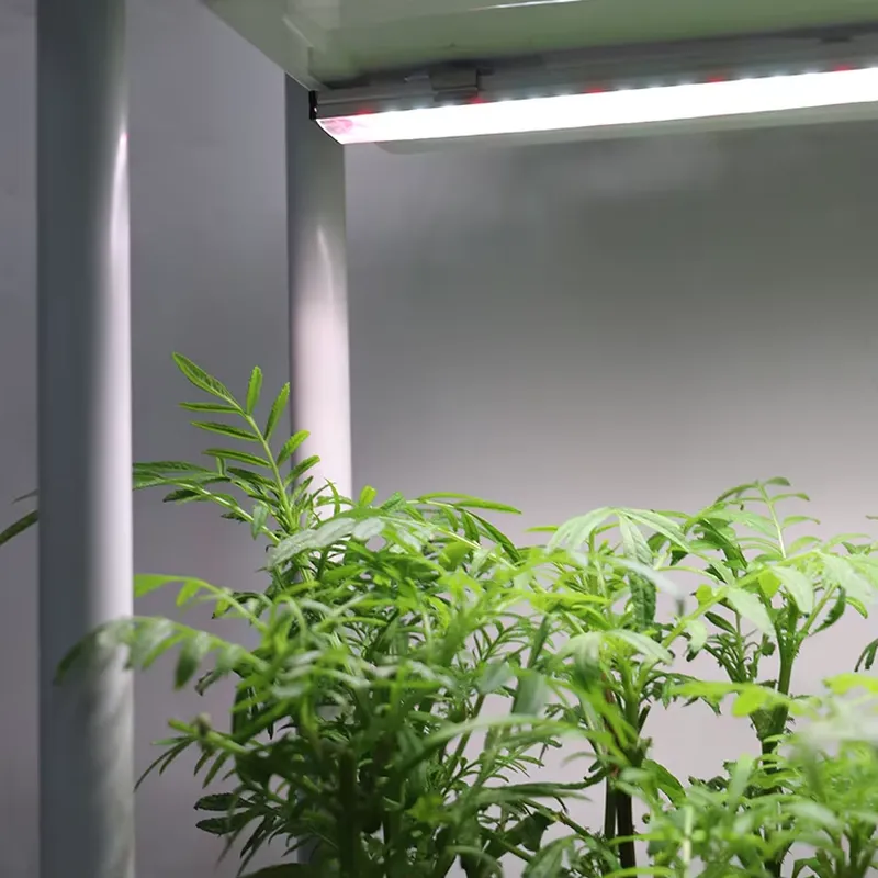 กล่องปลูกต้นไม้แบบเคลื่อนย้ายไ - Smart Garden System บทวิจารณ์และราคา