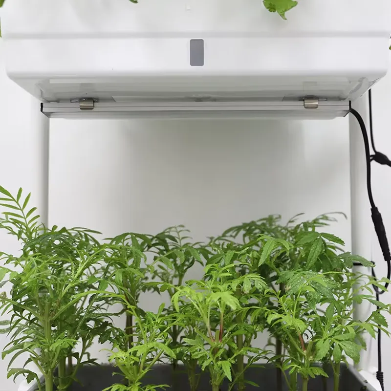กล่องปลูกต้นไม้แบบเคลื่อนย้ายไ - Smart Garden System บทวิจารณ์และราคา