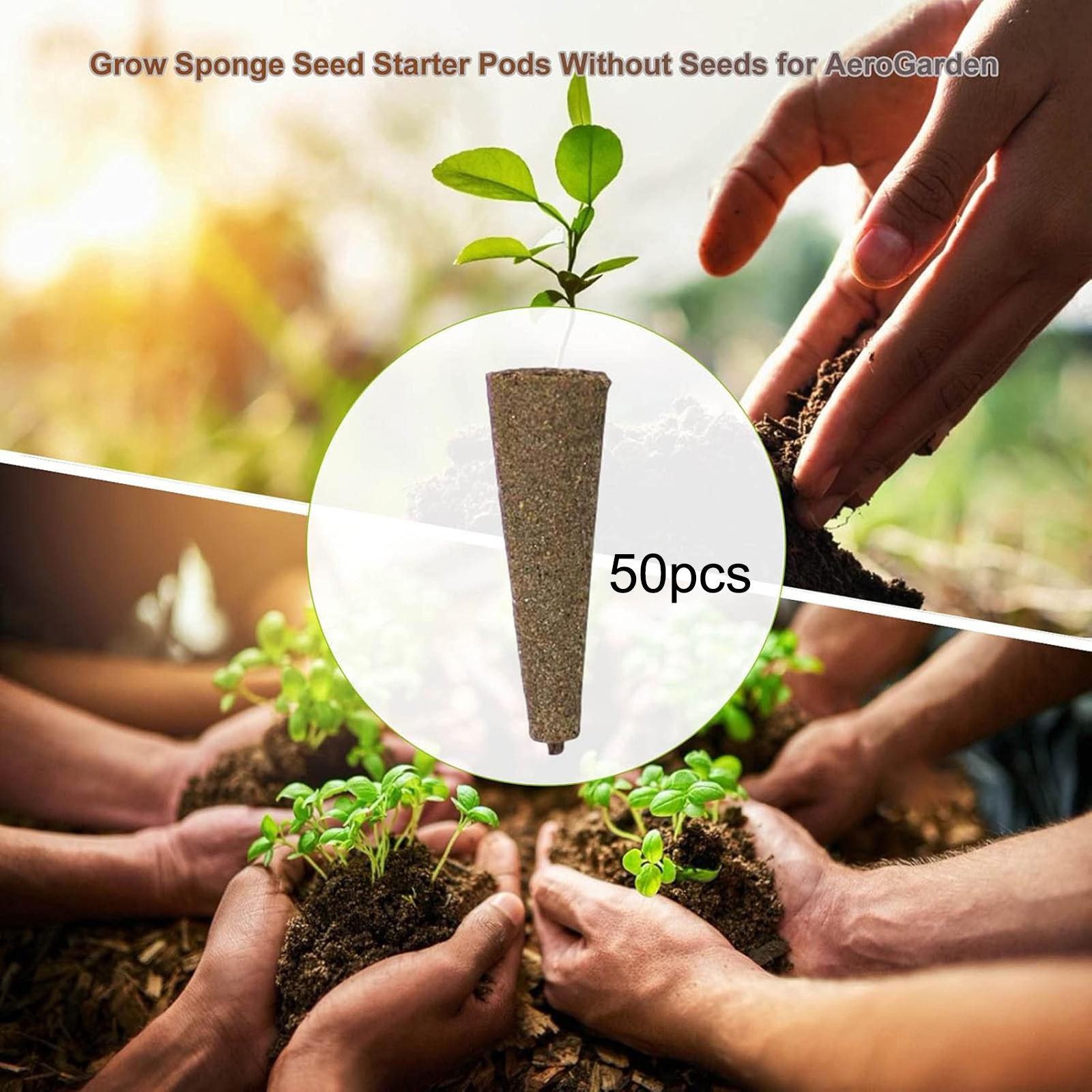 ฟองน้ำเพาะปลูก 50 ชิ้น ฟองน้ำก - Hydroponic Grow Pod บทวิจารณ์และราคา