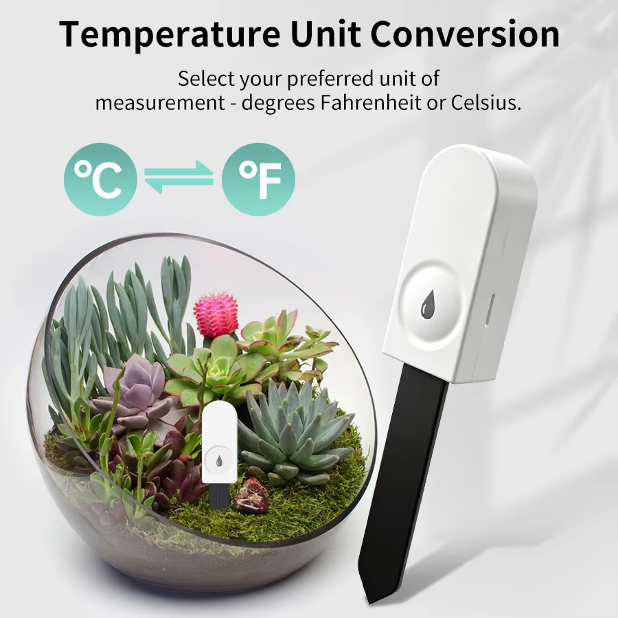 เครื่องวัดความชื้นในดิน Zigbee - Plant Monitor บทวิจารณ์และราคา