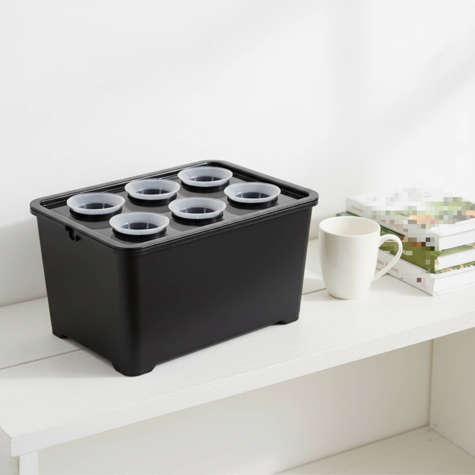 กล่องปลูกพืชแบบไฮโดรโปนิกส์ กล - Indoor Garden Kit บทวิจารณ์และราคา