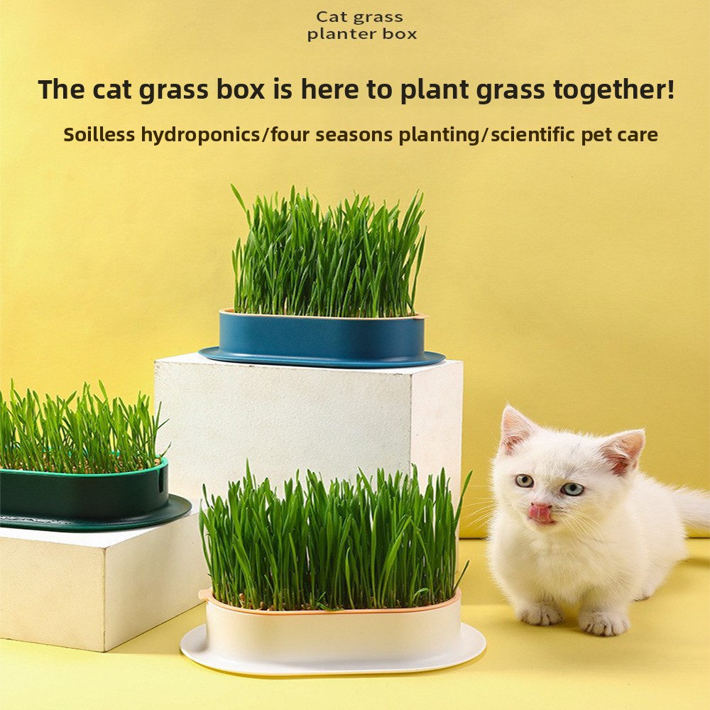 อุปกรณ์สําหรับสัตว์เลี้ยงขนมแม - Hydroponic Grow Pod บทวิจารณ์และราคา