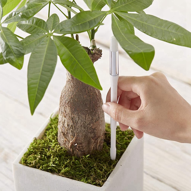 อควาเมเตอร์, 5 ชิ้น, เซ็นเซอร์ - Plant Sensor บทวิจารณ์และราคา