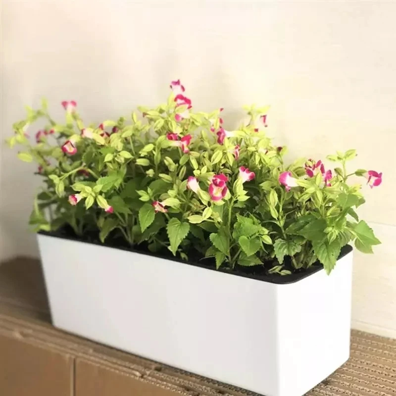 กระถางดอกไม้ทรงสี่เหลี่ยมผืนผ้ - Hydroponic Grow Pod บทวิจารณ์และราคา