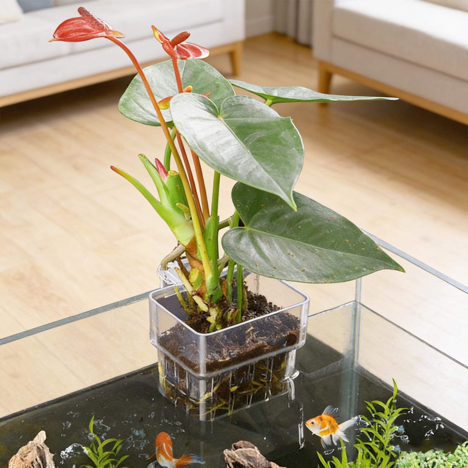 กระถางใสสำหรับแขวนปลูกพืชน้ำใน - Hydroponic Grow Pod บทวิจารณ์และราคา
