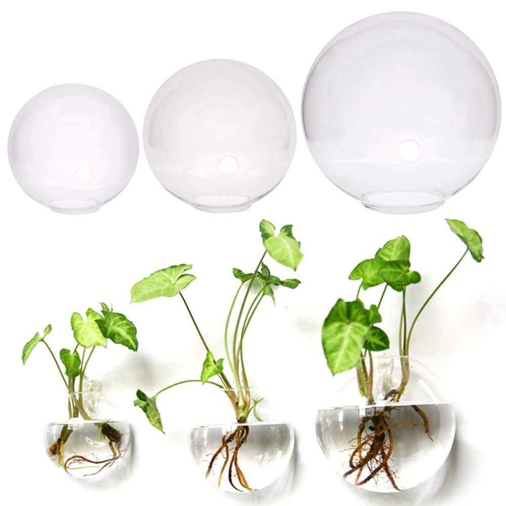 แจกันกระจกโปร่งแสงขนาด8ซม./10ซ - Hydroponic Grow Pod บทวิจารณ์และราคา