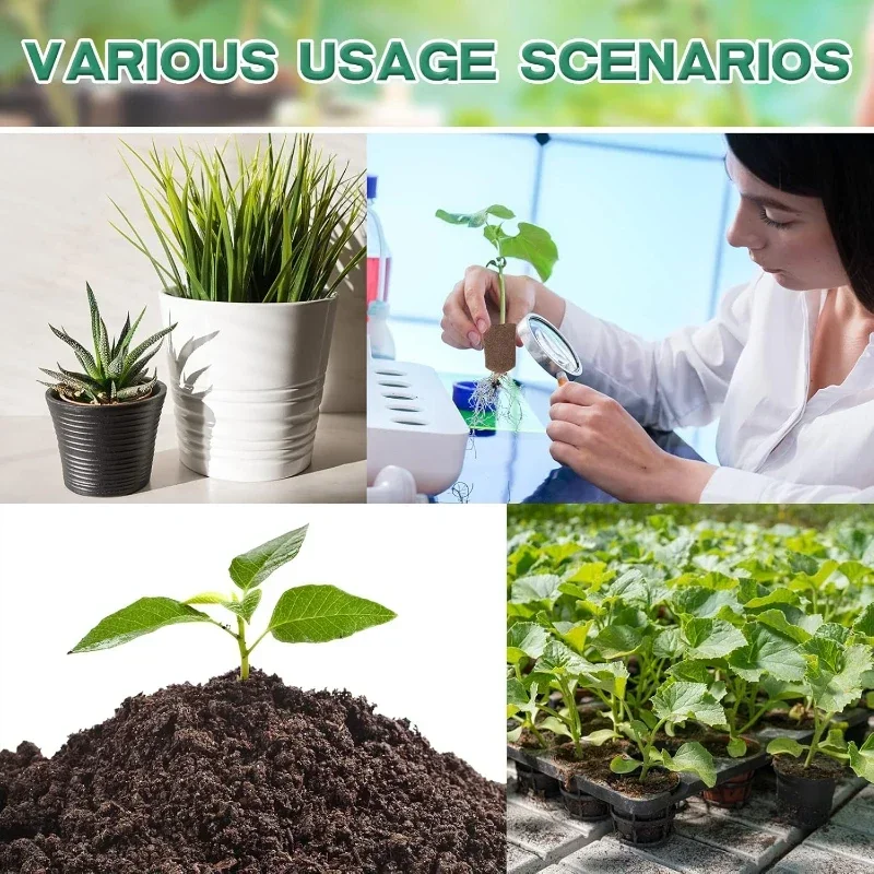 ชุดฟองน้ำเริ่มต้นการเพาะเมล็ดส - Indoor Garden Kit บทวิจารณ์และราคา