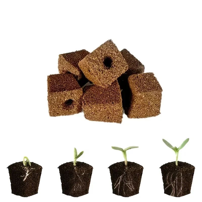 ชุดฟองน้ำเริ่มต้นการเพาะเมล็ดส - Indoor Garden Kit บทวิจารณ์และราคา