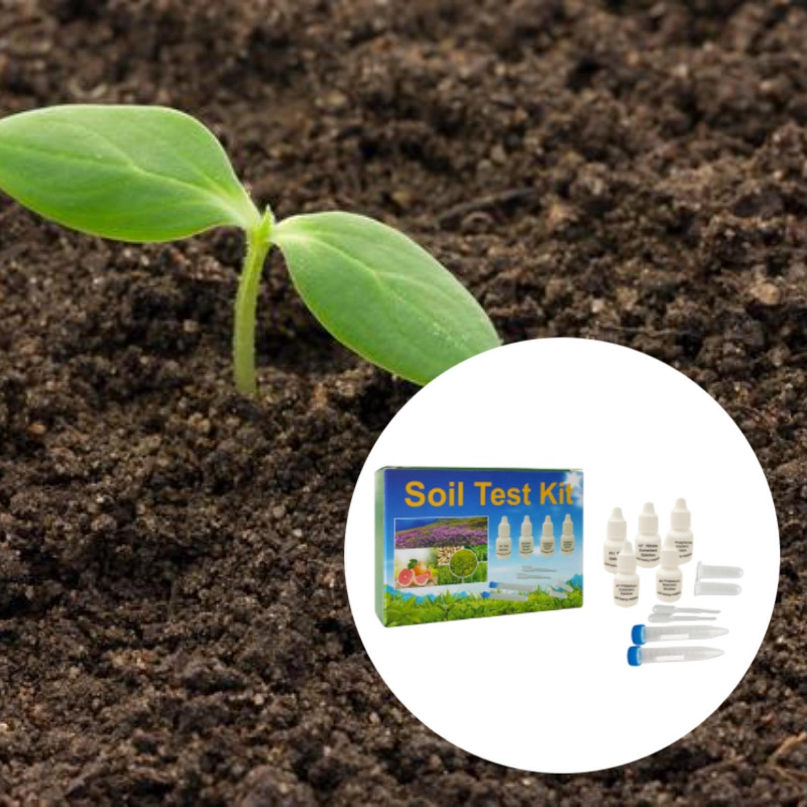 ชุดทดสอบดิน ใช้งานง่าย ให้ผลลั - Indoor Garden Kit บทวิจารณ์และราคา