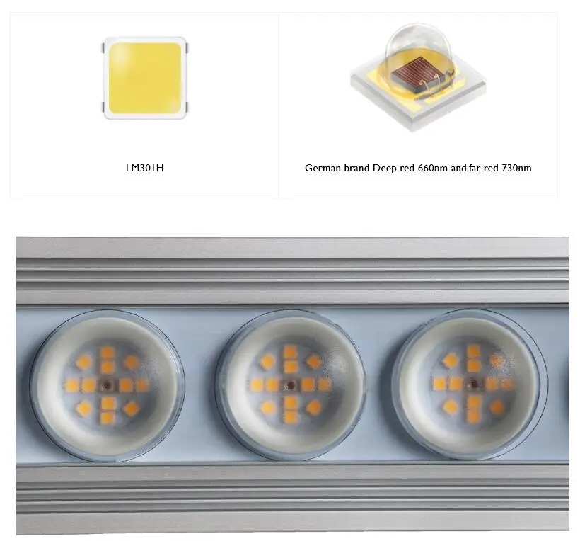 ไฟปลูกต้นไม้ในร่ม Koray 900W แ - Grow Light Led บทวิจารณ์และราคา
