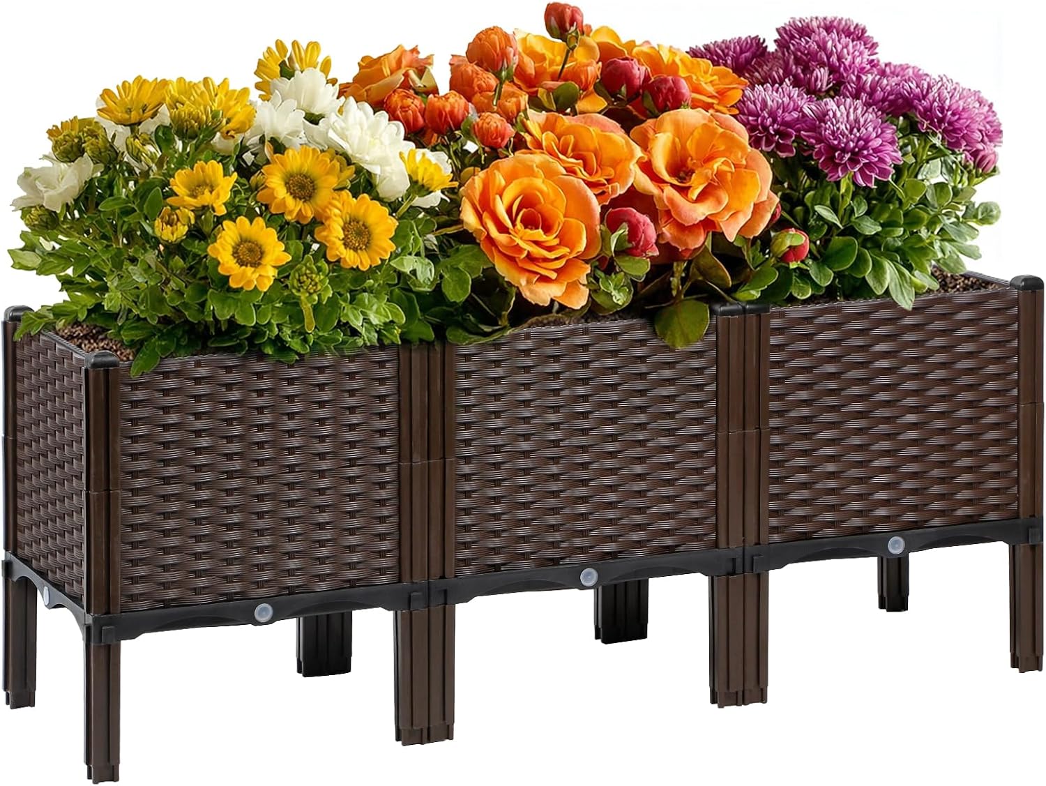 กระถางปลูกต้นไม้หวายสำหรับสวนก - Self Watering Planter บทวิจารณ์และราคา